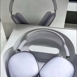 Apple Headset in Silver and Gray